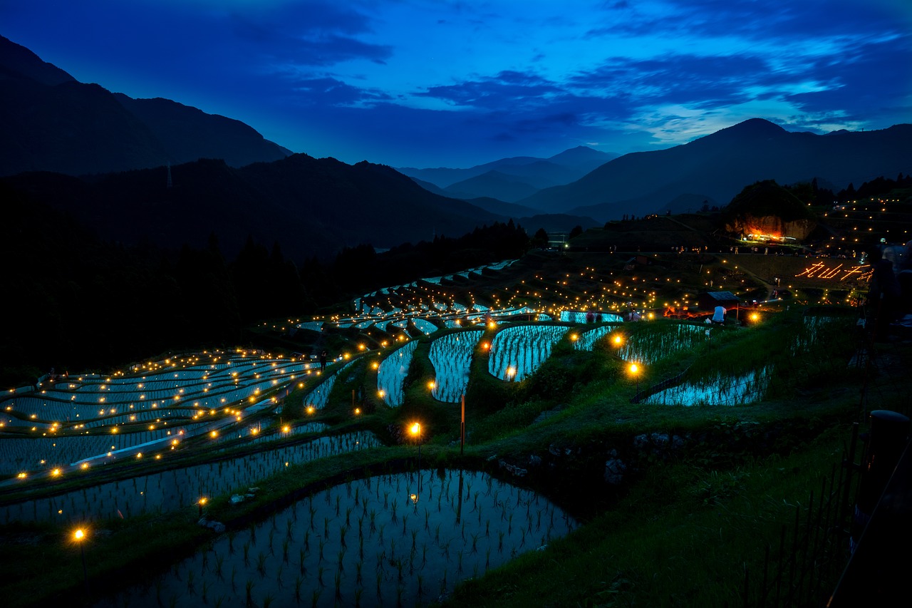 rice terraces, rice paddies, farm-3466518.jpg